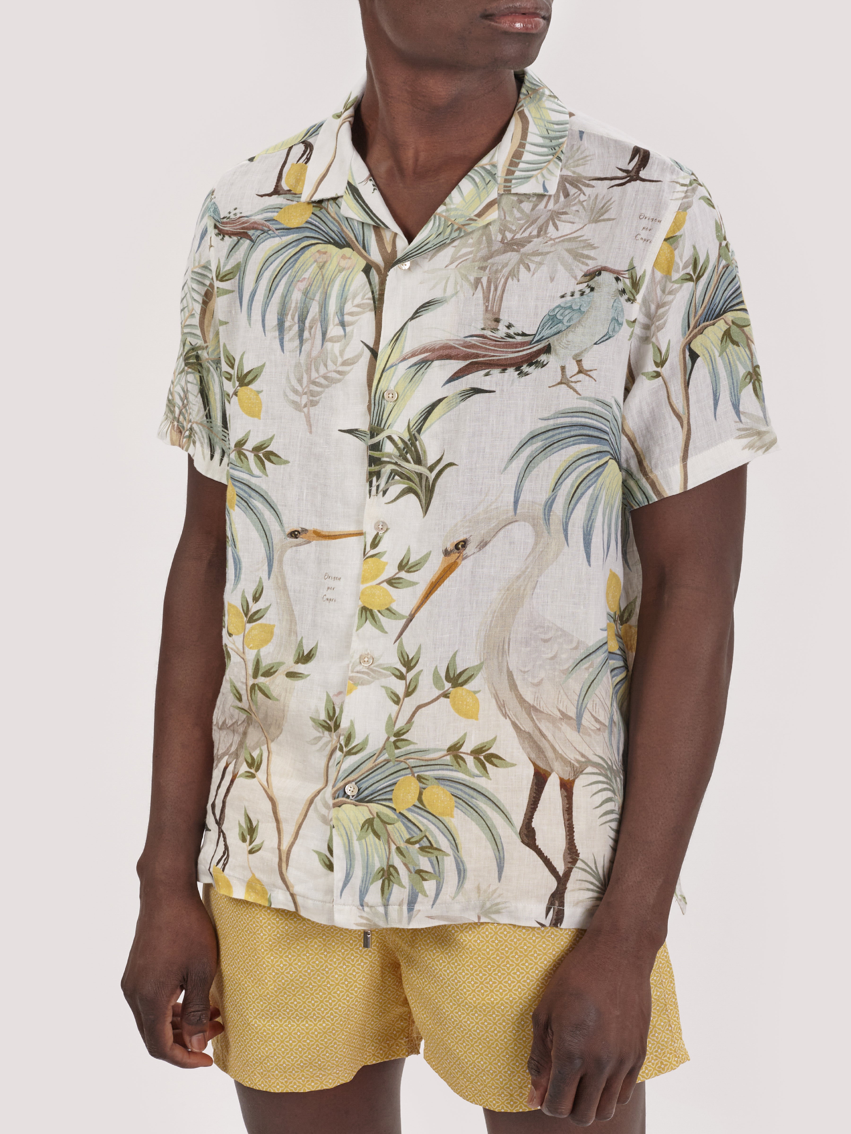 CAMICIA GRU GRANDE M.CORTA LIMITED EDIT