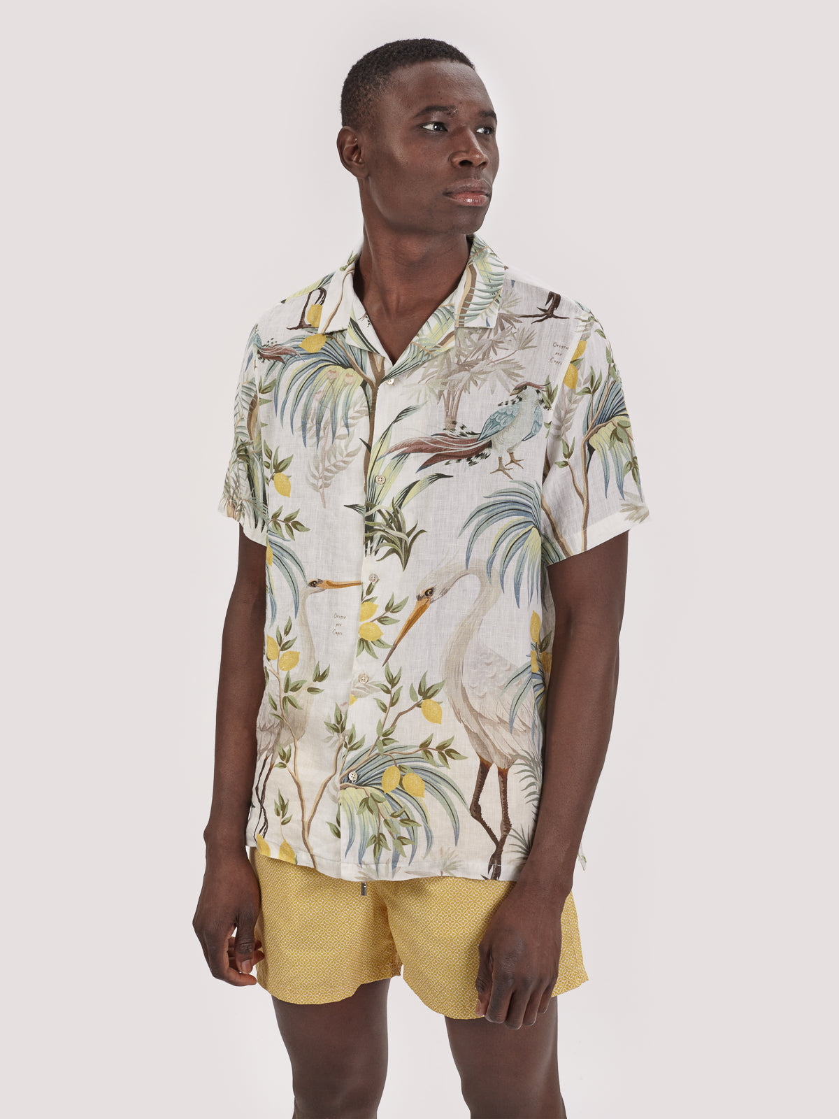 CAMICIA GRU GRANDE M.CORTA LIMITED EDIT