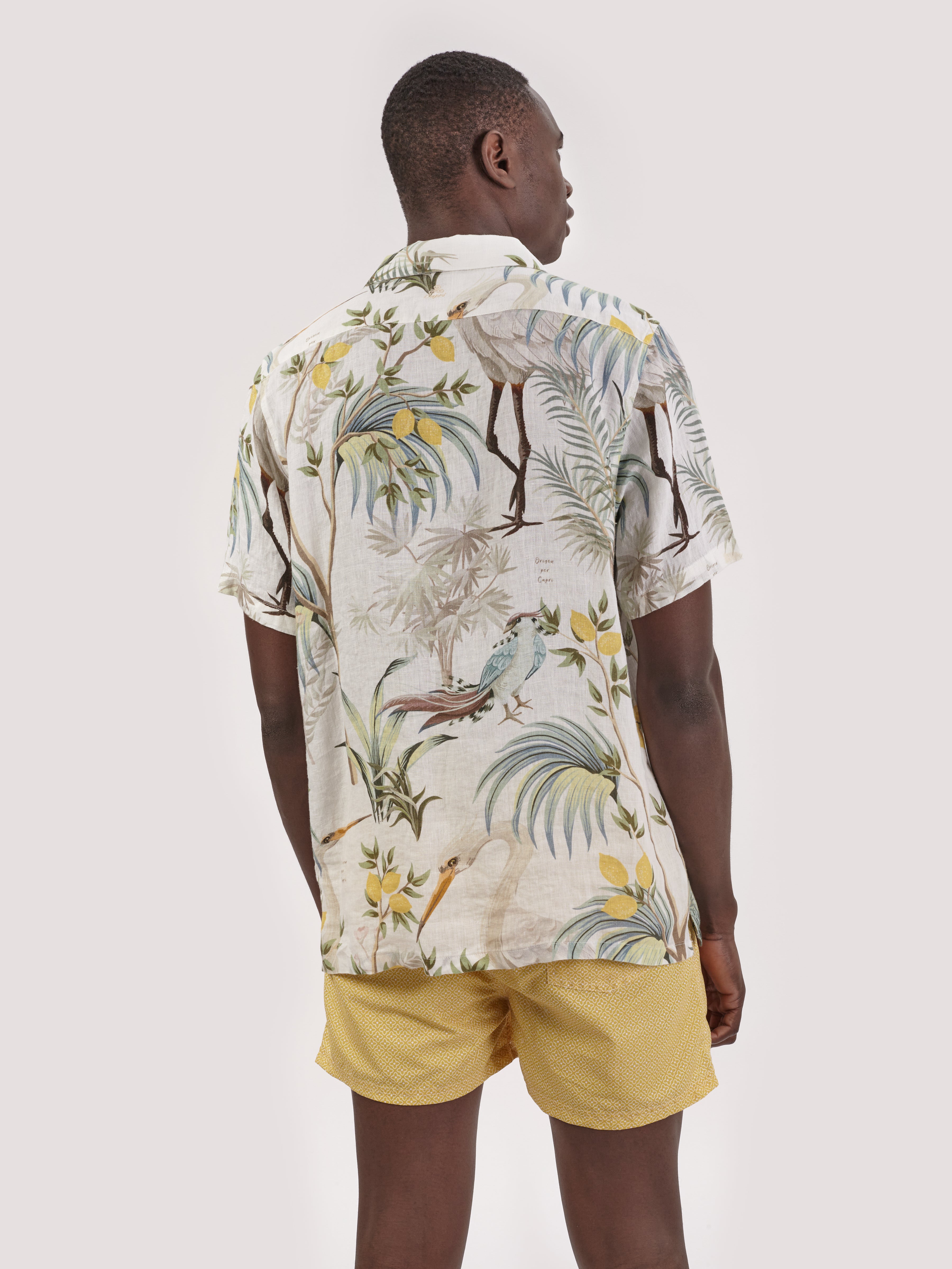 CAMICIA GRU GRANDE M.CORTA LIMITED EDIT