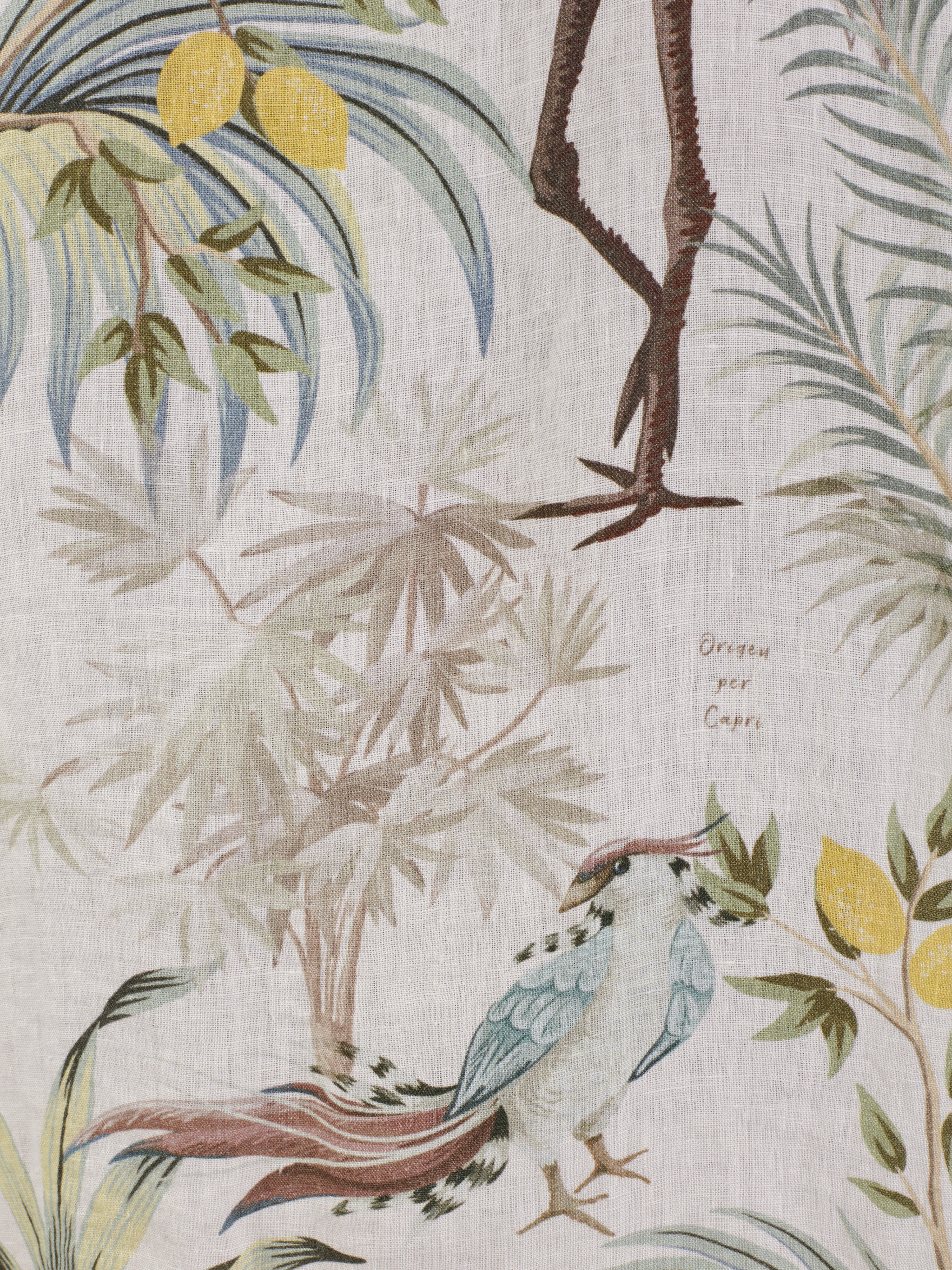 CAMICIA GRU GRANDE M.CORTA LIMITED EDIT